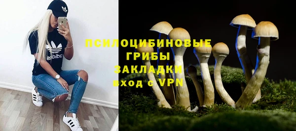 гашик Абинск