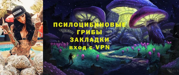 гашик Абинск