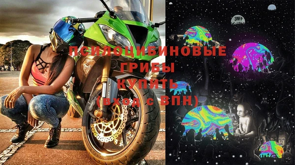 гашик Абинск